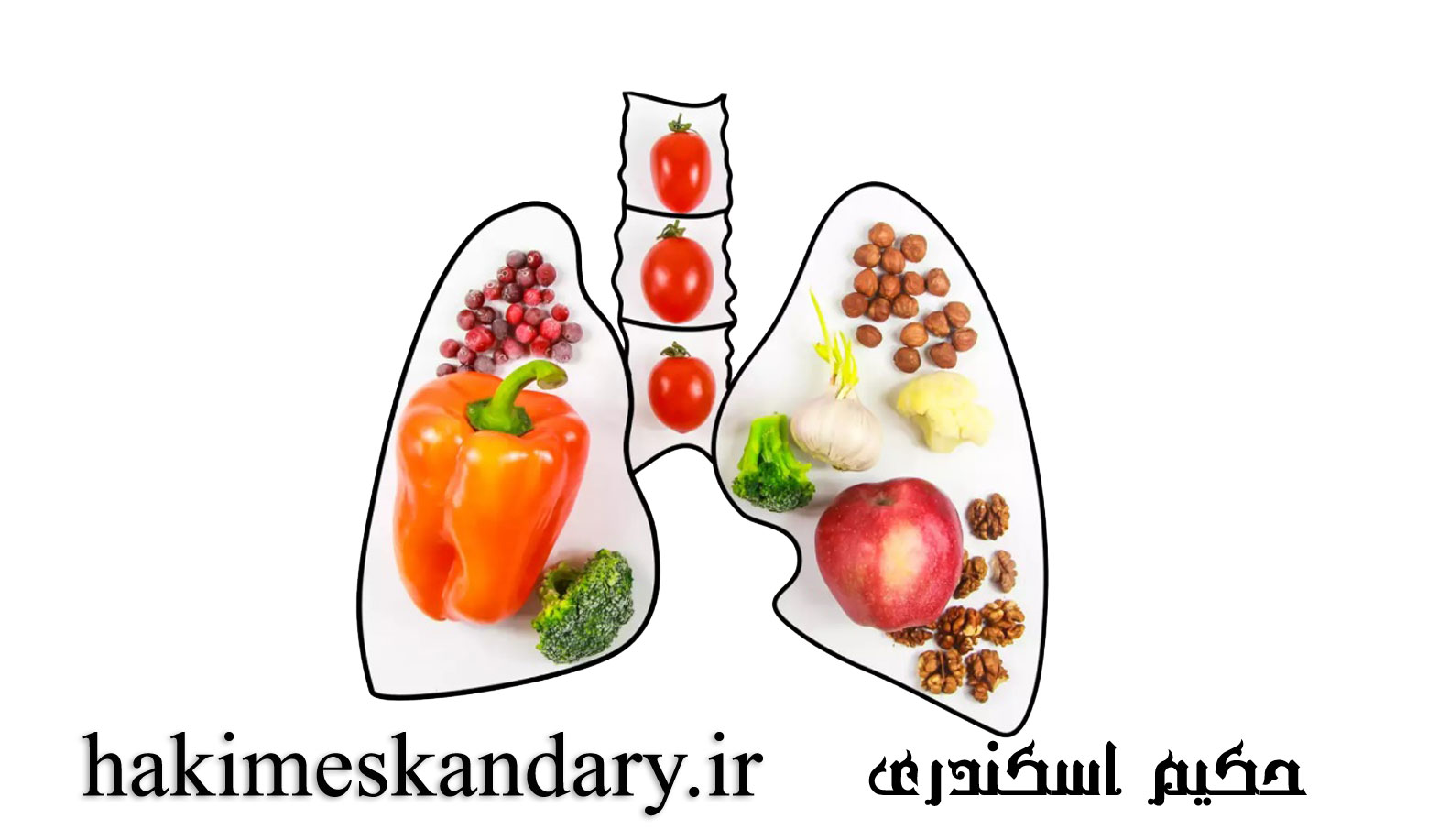 رژیم غذایی سالم برای پاکسازی ریه و تقویت سیستم تنفسی از منظر حکیم اسکندری