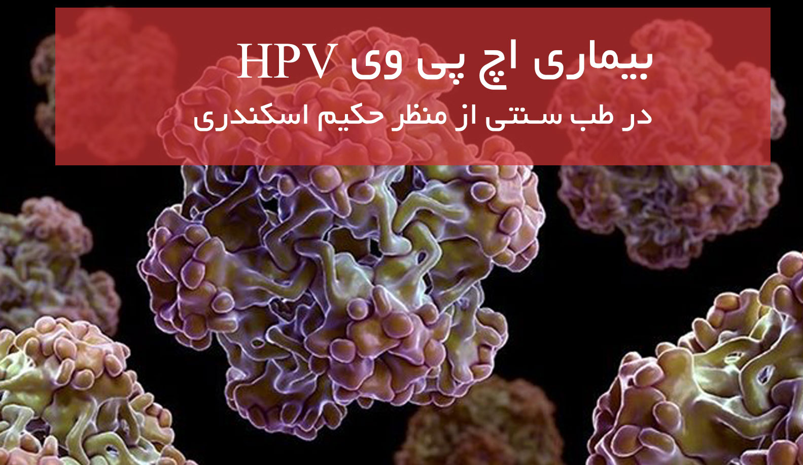 درمان بیماری HPV زگیل تناسلی در طب سنتی از منظر حکیم اسکندری