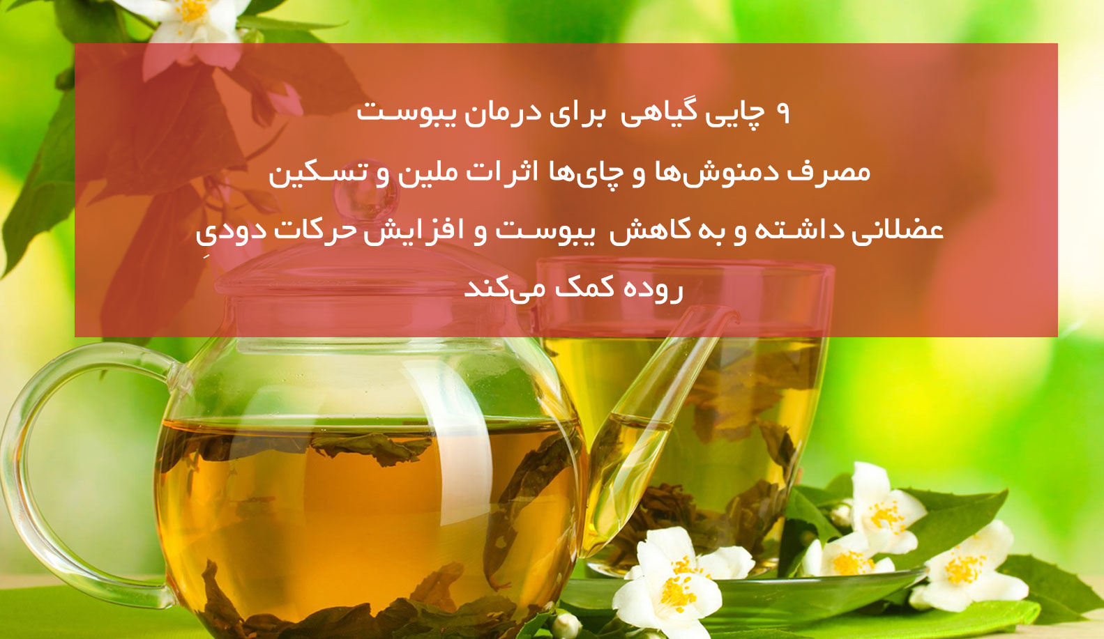 ۹ چای گیاهی برای درمان یبوست در طب سنتی