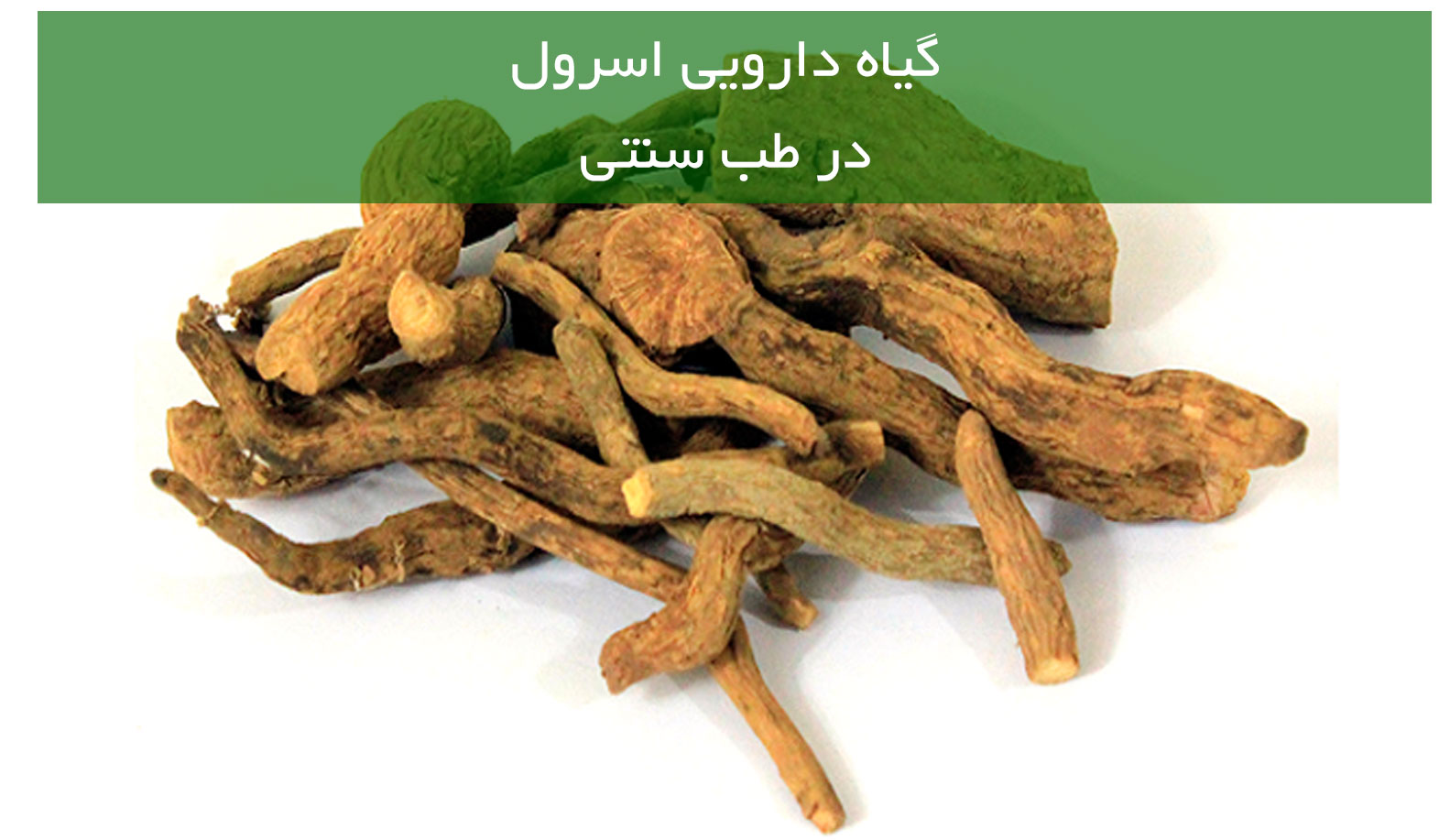 گیاه دارویی اسرول