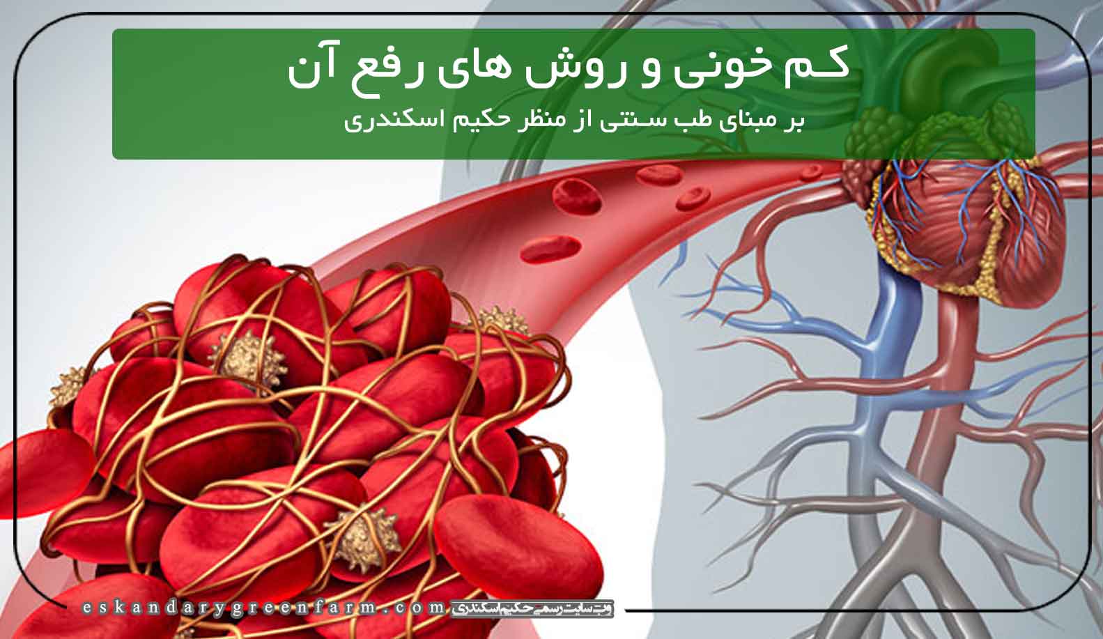 کم خونی و روشهای رفع کم خونی از منظر حکیم اسکندری