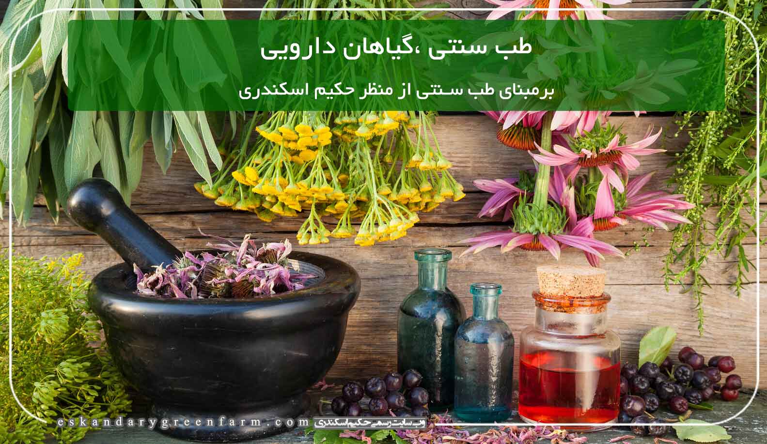 طب سنتی ،گیاهان دارویی