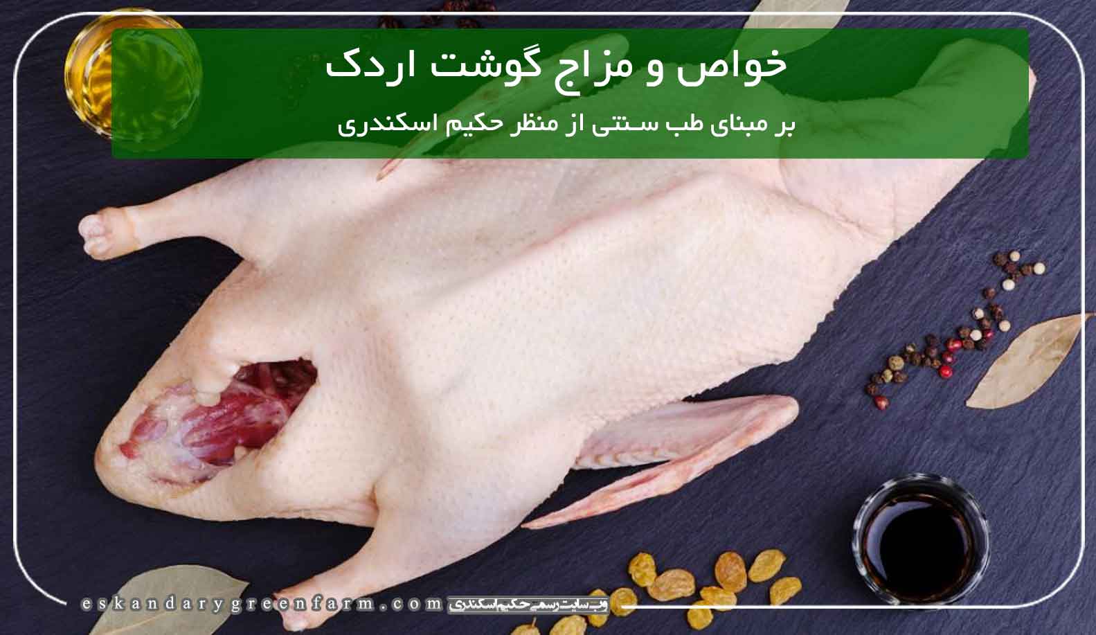 خواص و مزاج گوشت اردک در طب سنتی