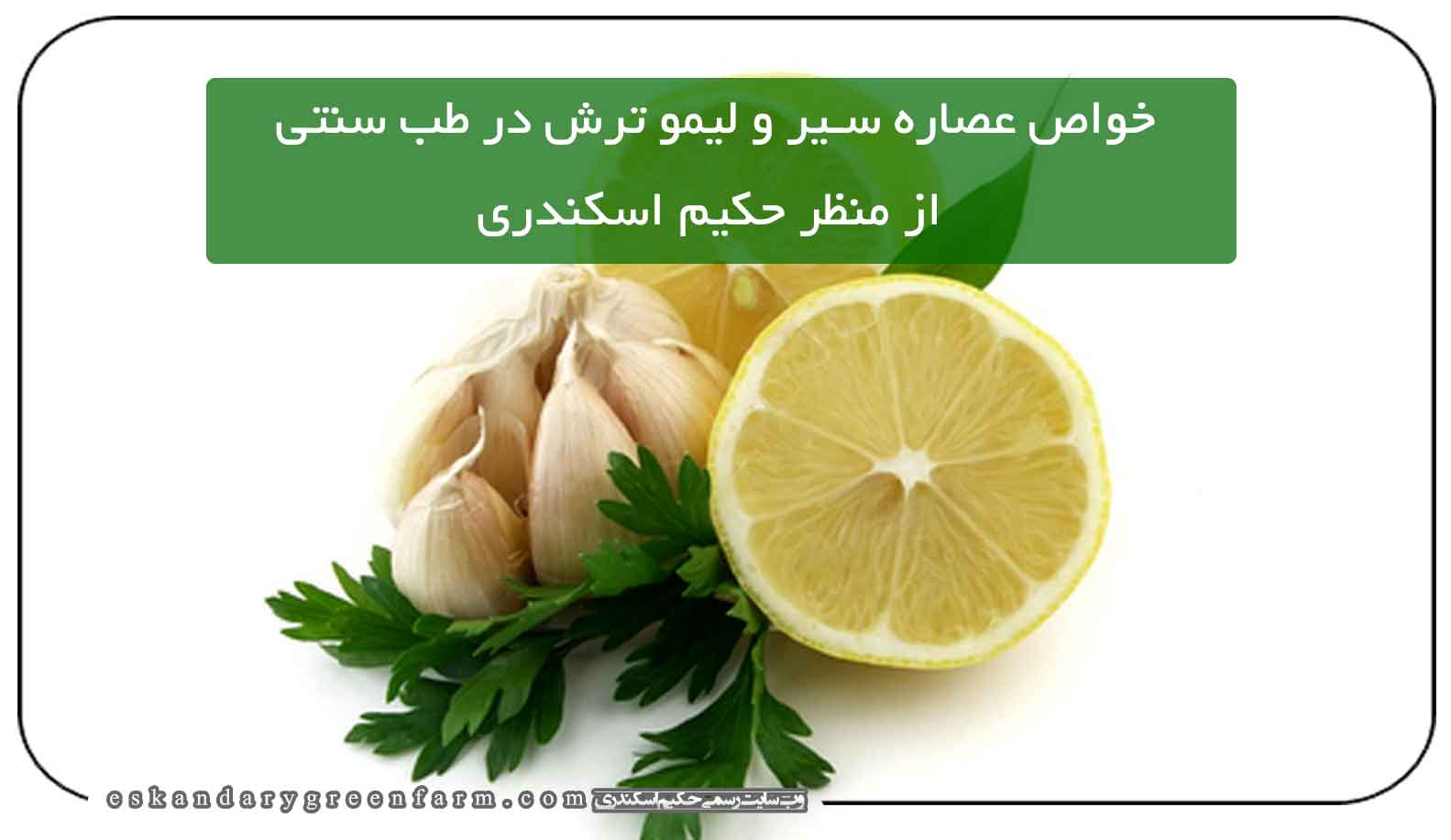 خواص عصاره سیر و لیمو ترش در طب سنتی