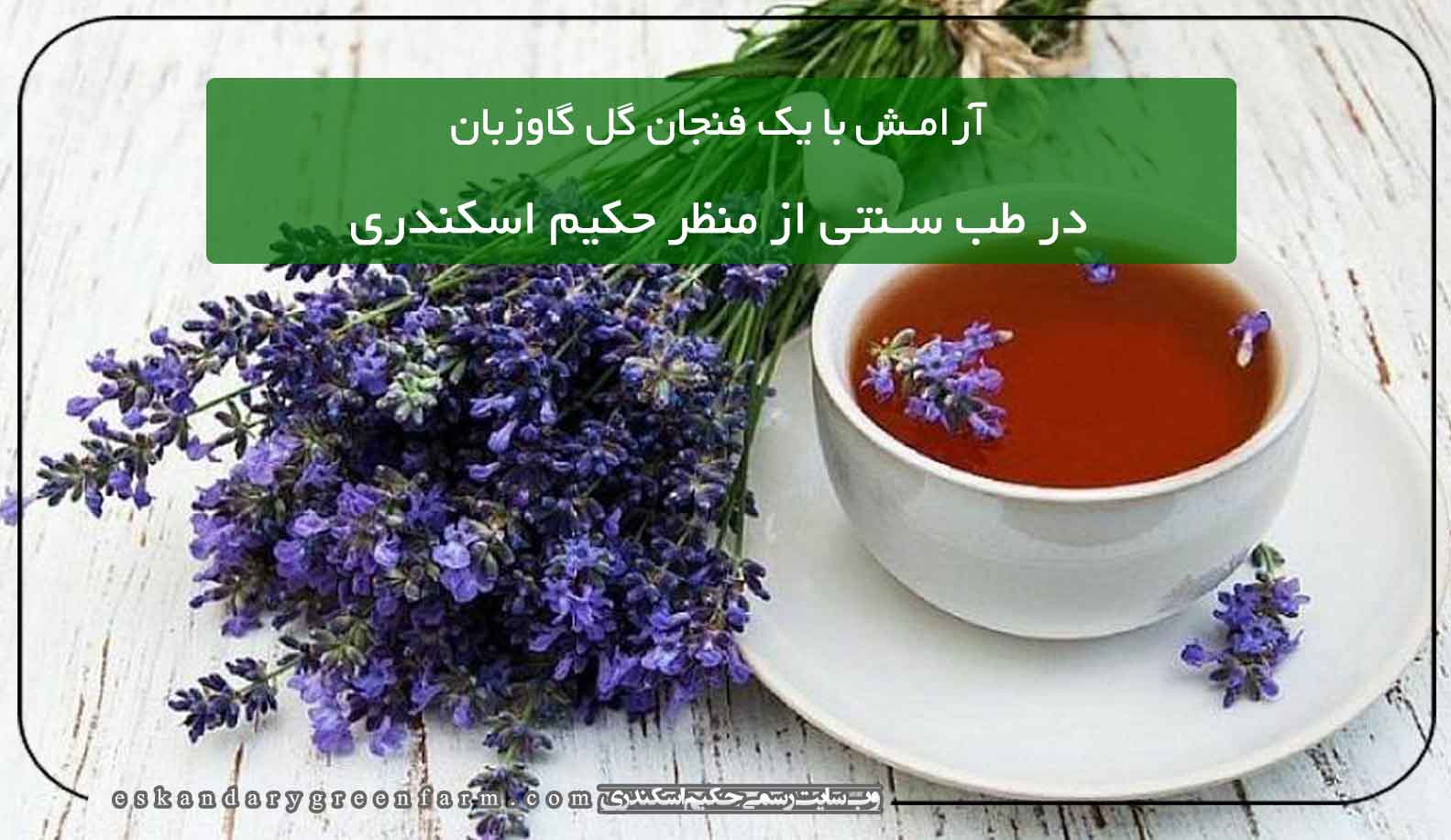 خواص گیاه دارویی گل گاوزبان