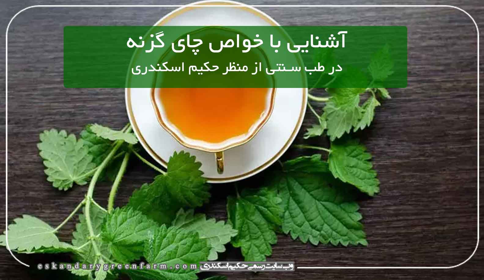 آشنایی با خواص چای گیاه دارویی گزنه