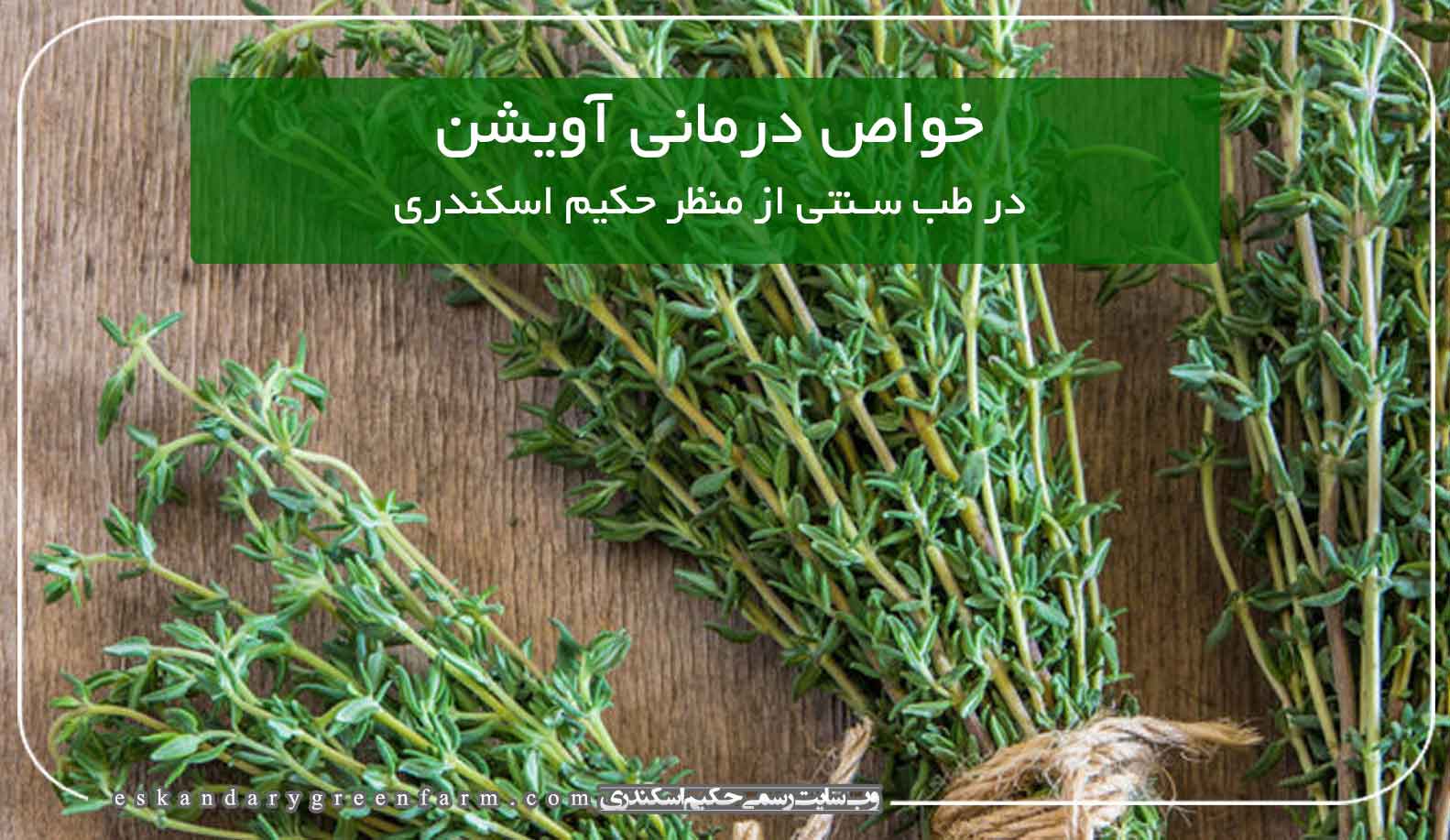 خواص درمانی گیاه دارویی آویشن در طب سنتی