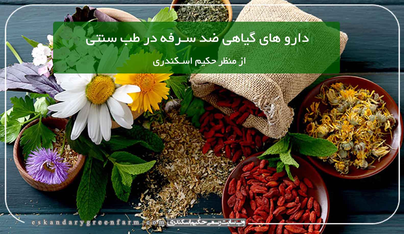 دارو های گیاهی ضد سرفه در طب سنتی