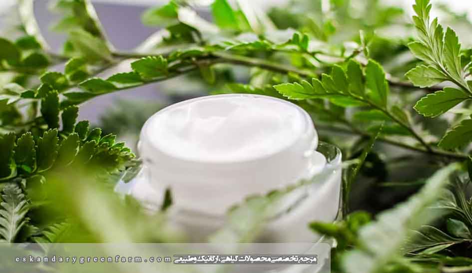 خرید و قیمت کرم گیاهی جلبک