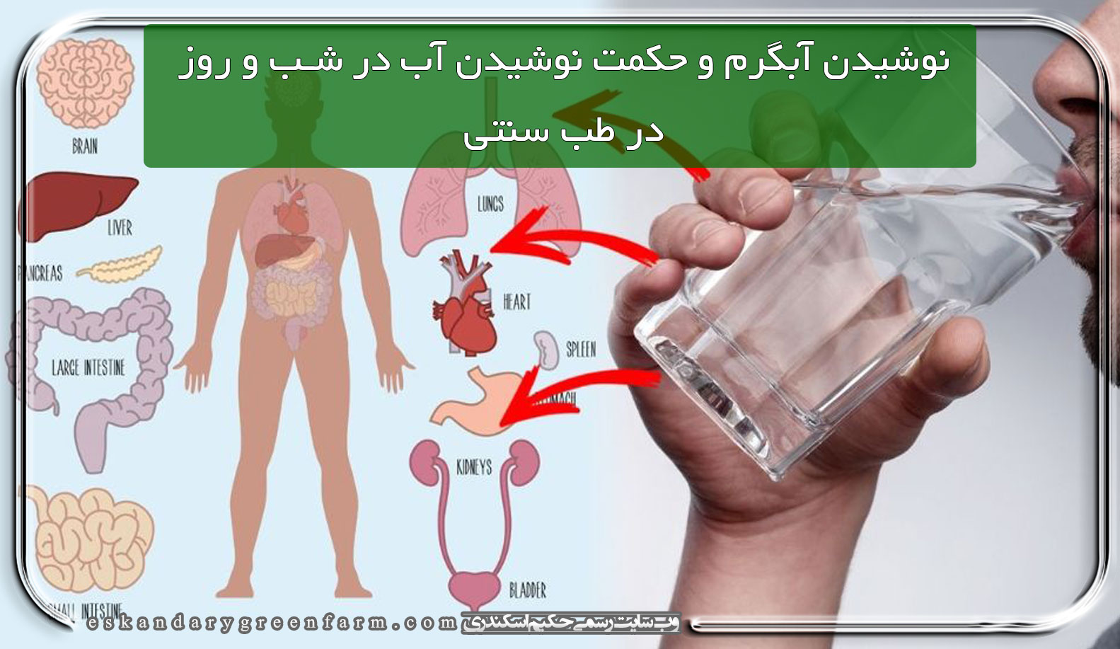 نوشیدن آبگرم و حکمت نوشیدن آب در شب و روز