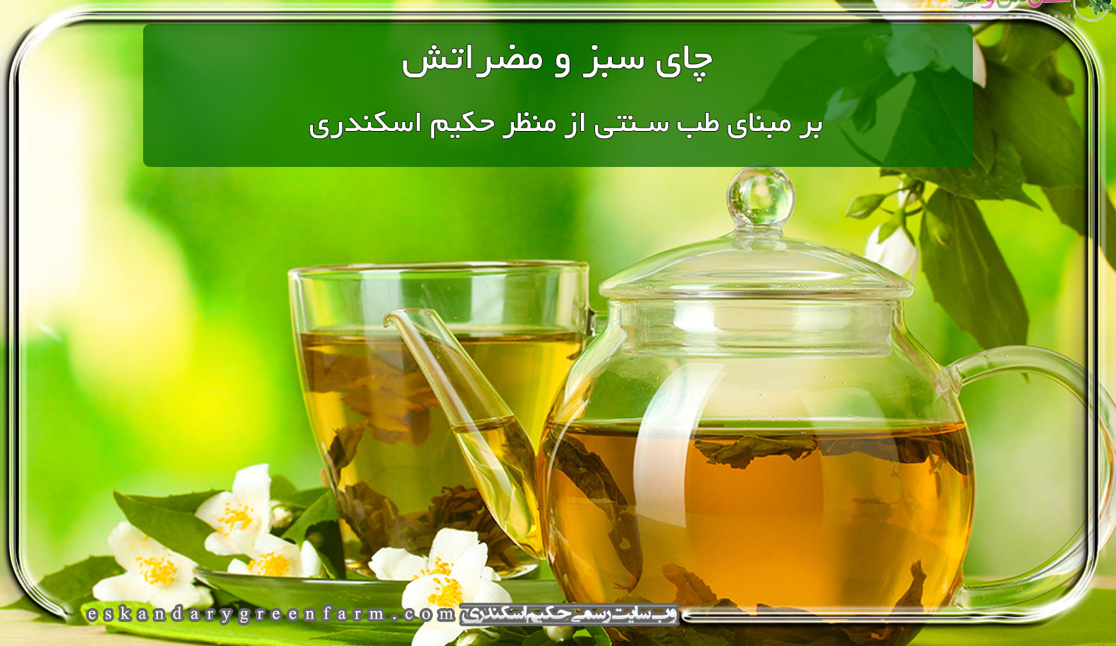 چای سبز و مضراتش بر مبنای طب سنتی
