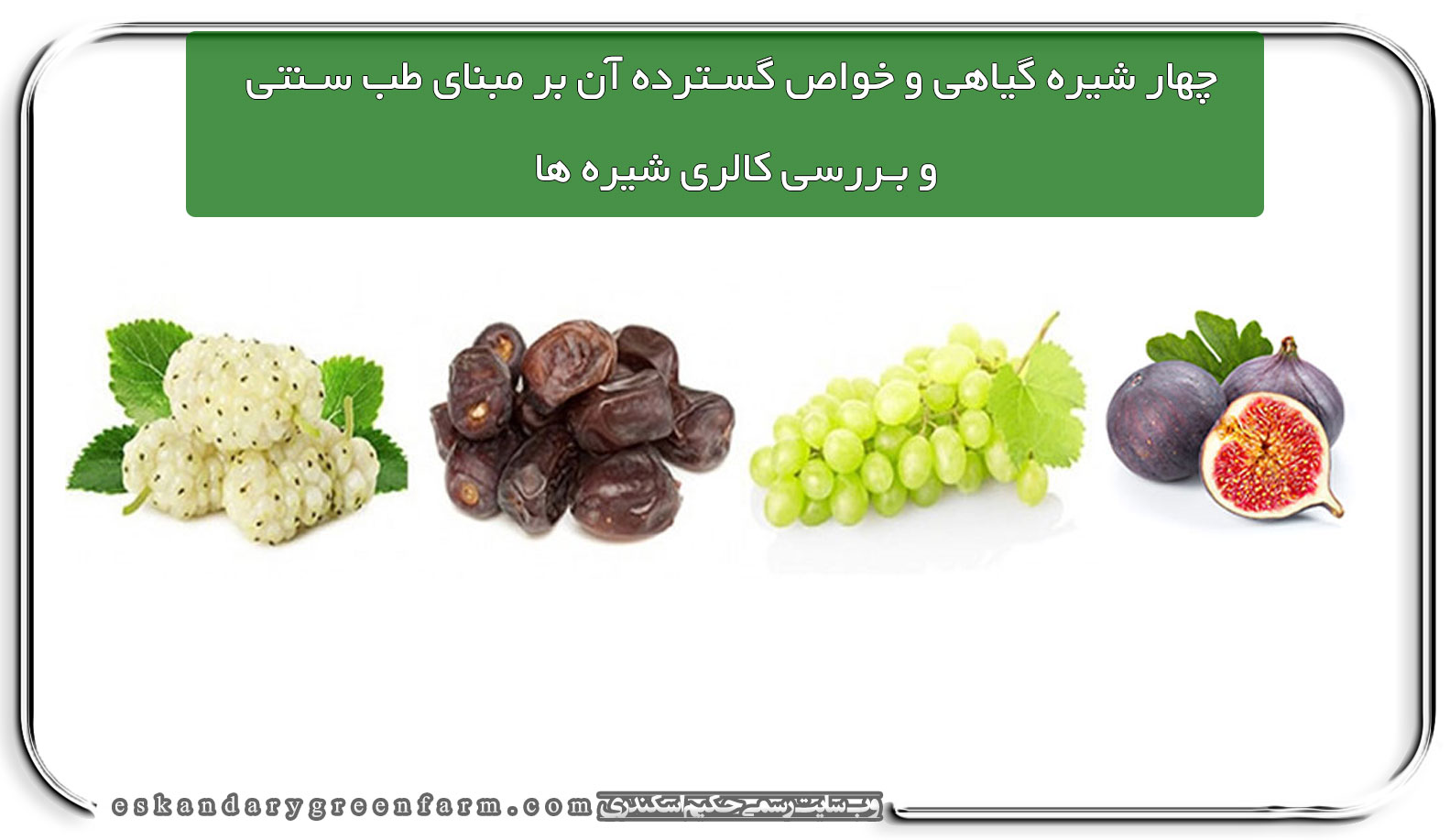 چهار شیره گیاهی و خواص گسترده آن بر مبنای طب سنتی و بررسی کالری شیره ها