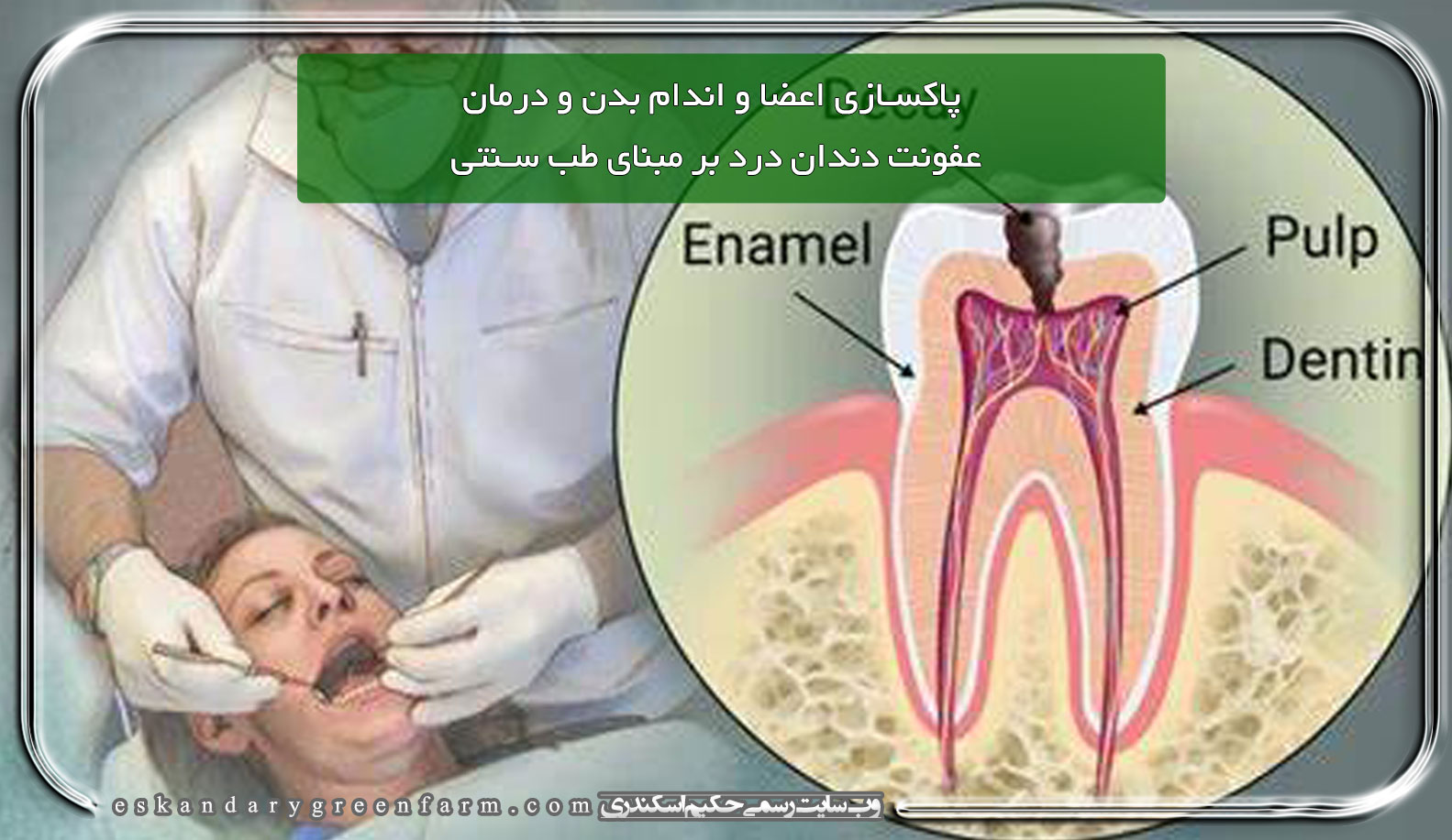 پاکسازی اعضا و اندام بدن و درمان عفونت دندان درد بر مبنای طب سنتی
