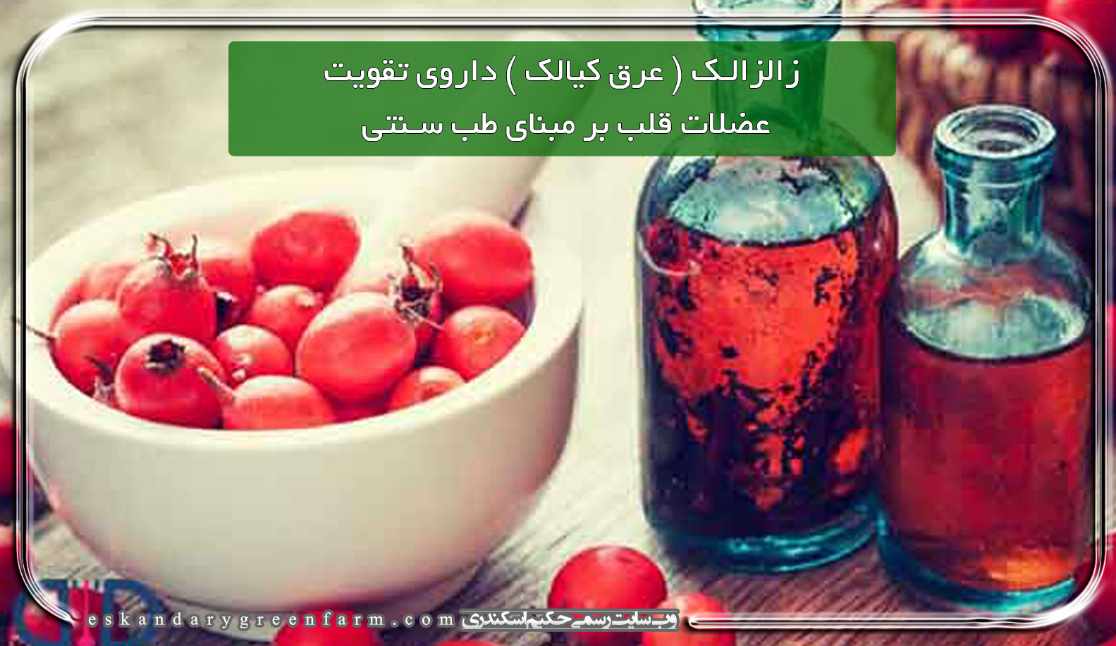 زالزالک ( عرق کیالک ) داروی تقویت عضلات قلب بر مبنای طب سنتی