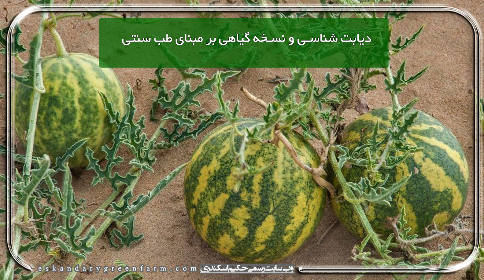 دیابت شناسی و نسخه گیاهی بر مبنای طب سنتی