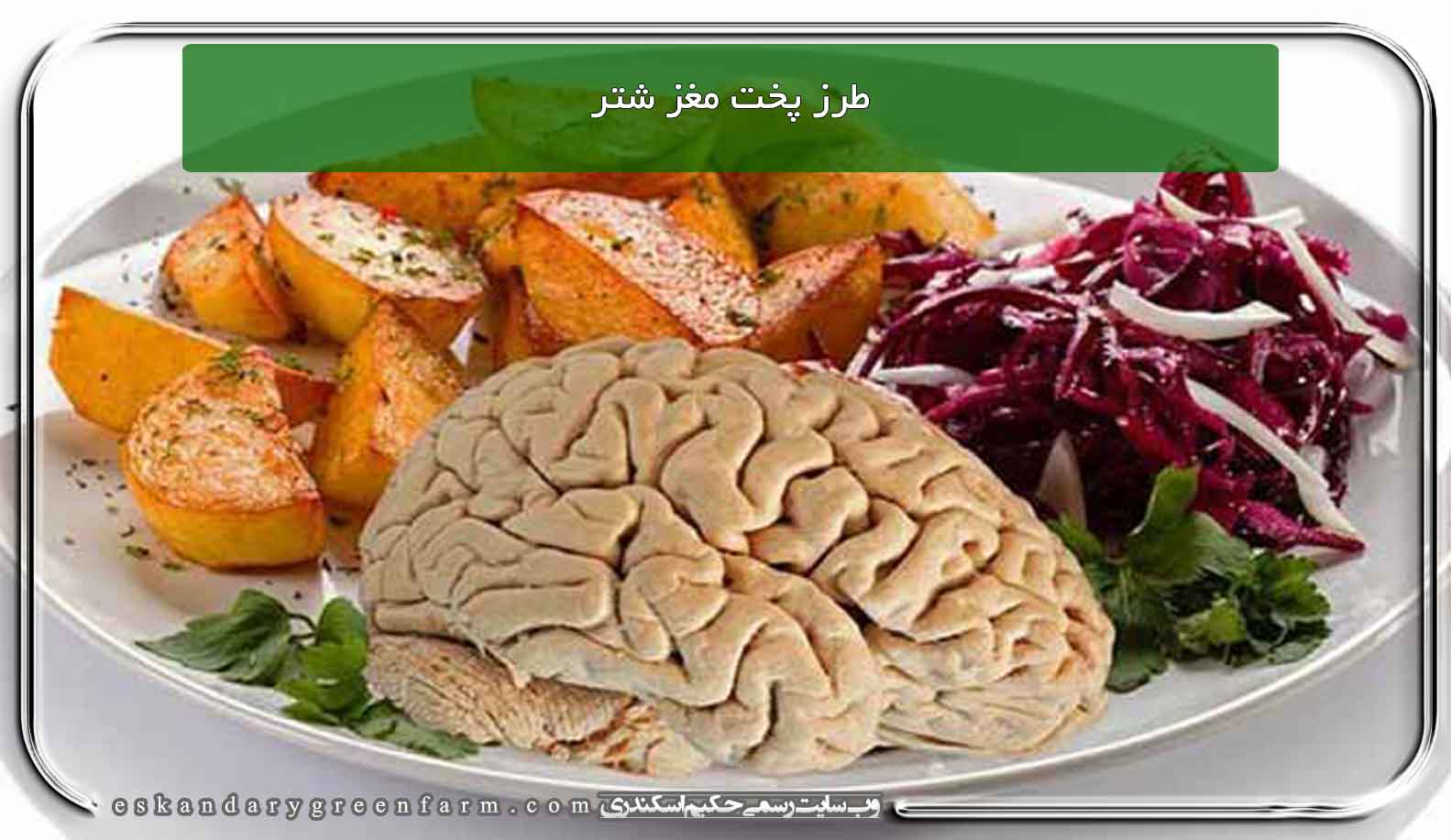 طرز پخت مغز شتر