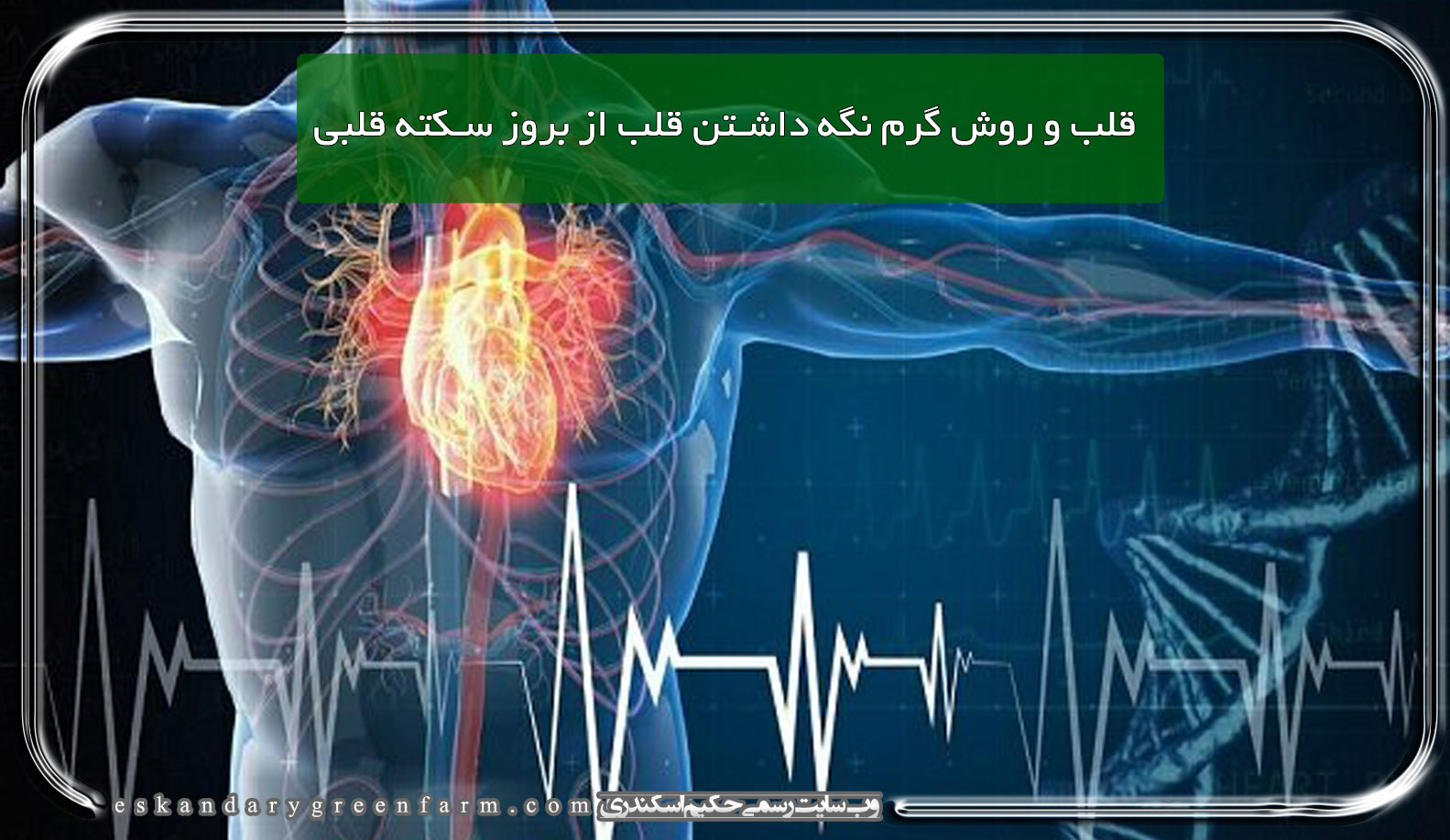 قلب و روش گرم نگه داشتن قلب از بروز سکته قلبی