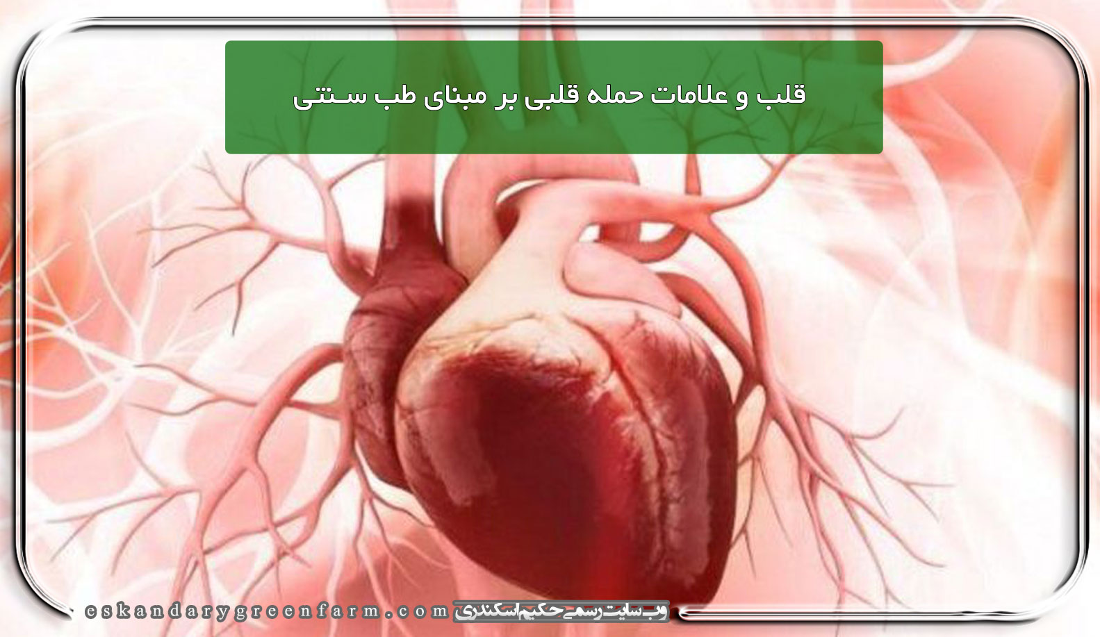 قلب و علامات حمله قلبی بر مبنای طب سنتی