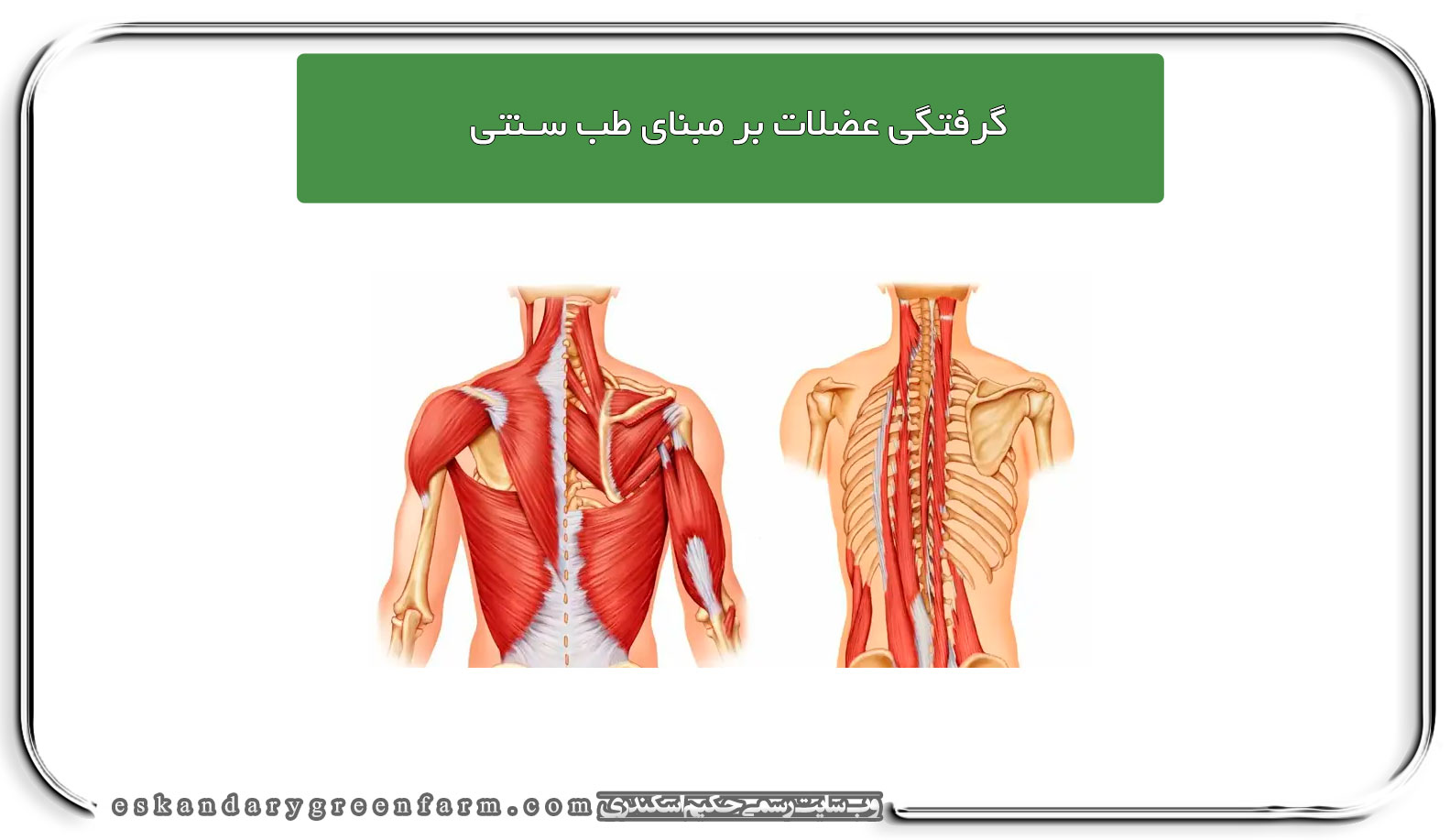 گرفتگی عضلات بر مبنای طب سنتی