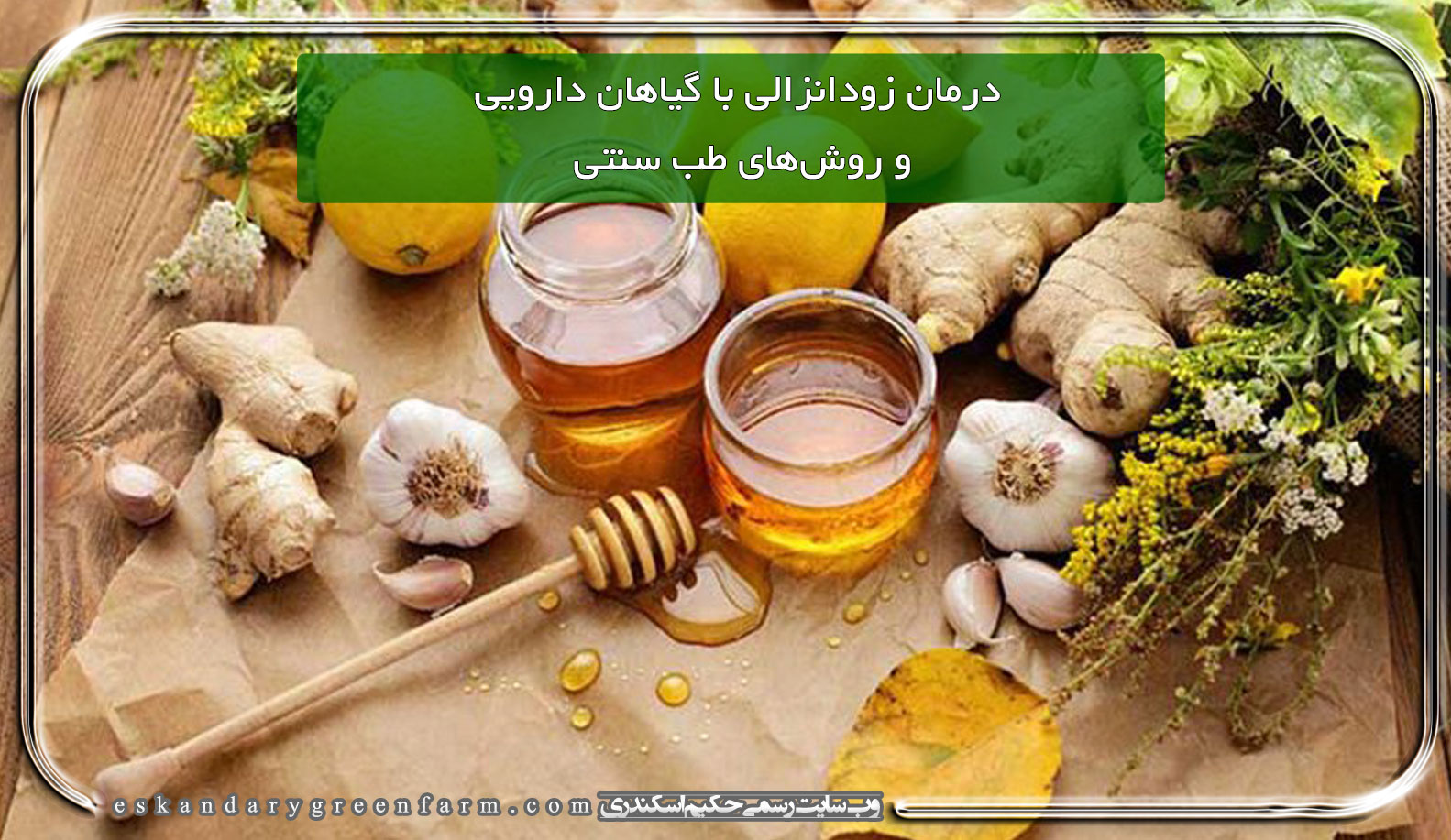 درمان زودانزالی با گیاهان دارویی و روش‌های طب سنتی