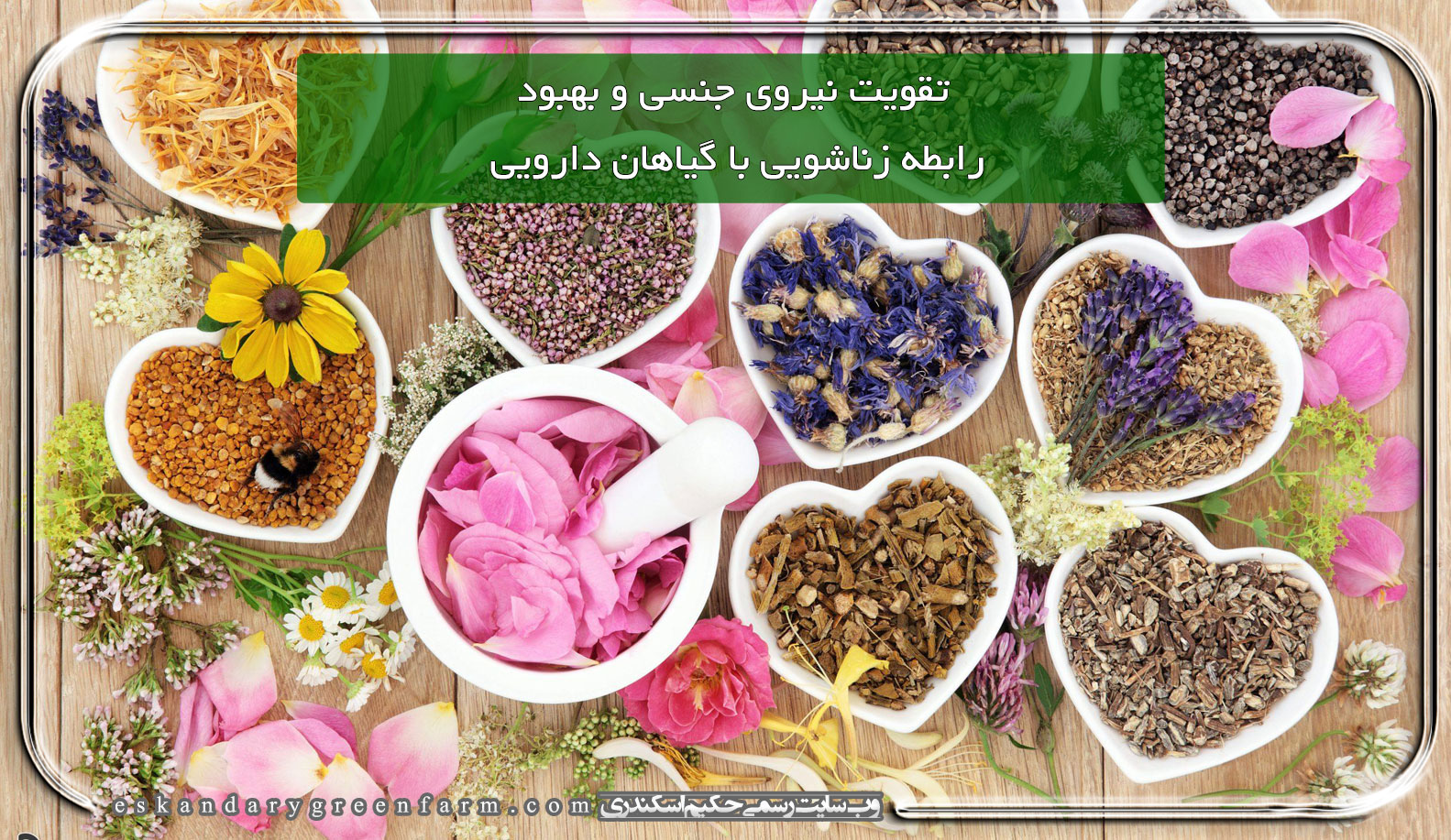 تقویت نیروی جنسی و بهبود رابطه زناشویی با گیاهان دارویی